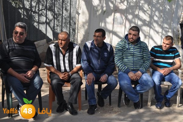 rayetsol7s310 (24).JPG